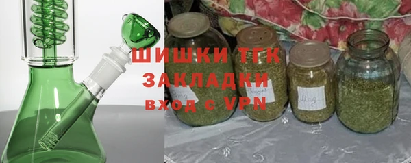 ECSTASY Богородицк