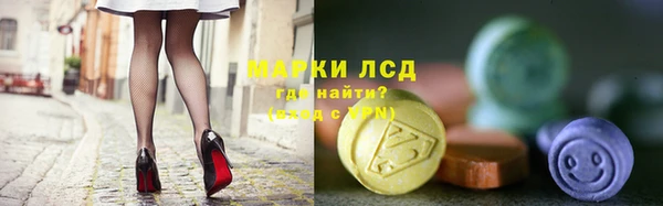 ECSTASY Богородицк