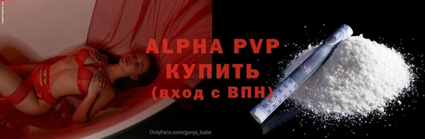 ECSTASY Богородицк
