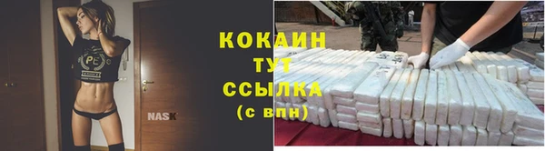 ECSTASY Богородицк
