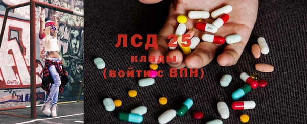 ECSTASY Богородицк