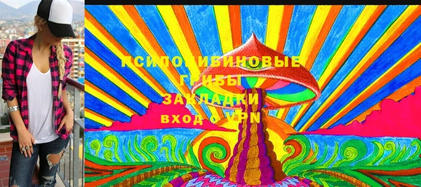 ECSTASY Богородицк