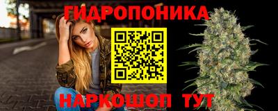 гашик Малоярославец