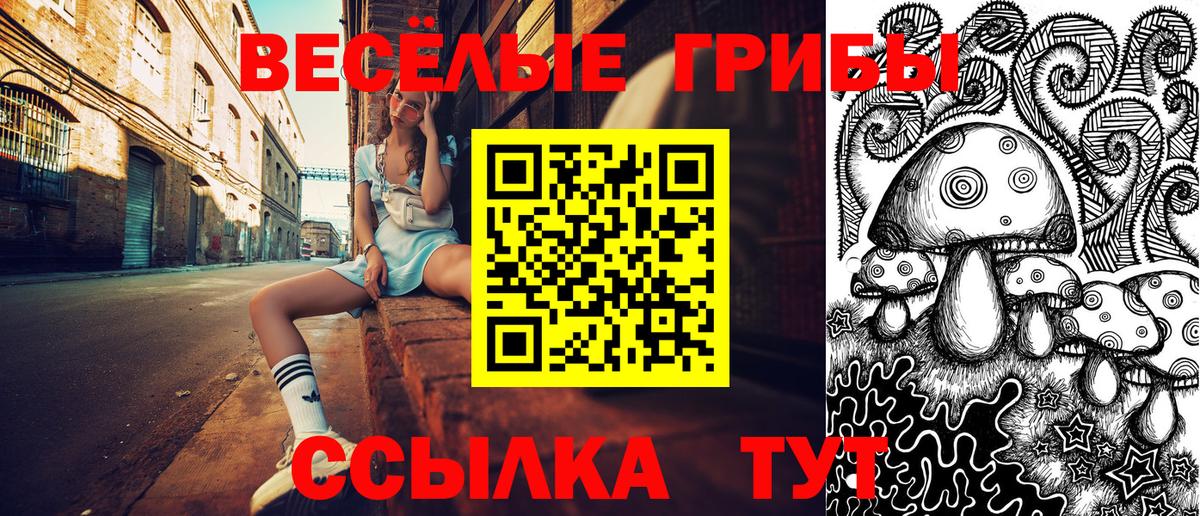 Вязьма  Псилоцибиновые грибы Psilocybe  Вход с VPN 